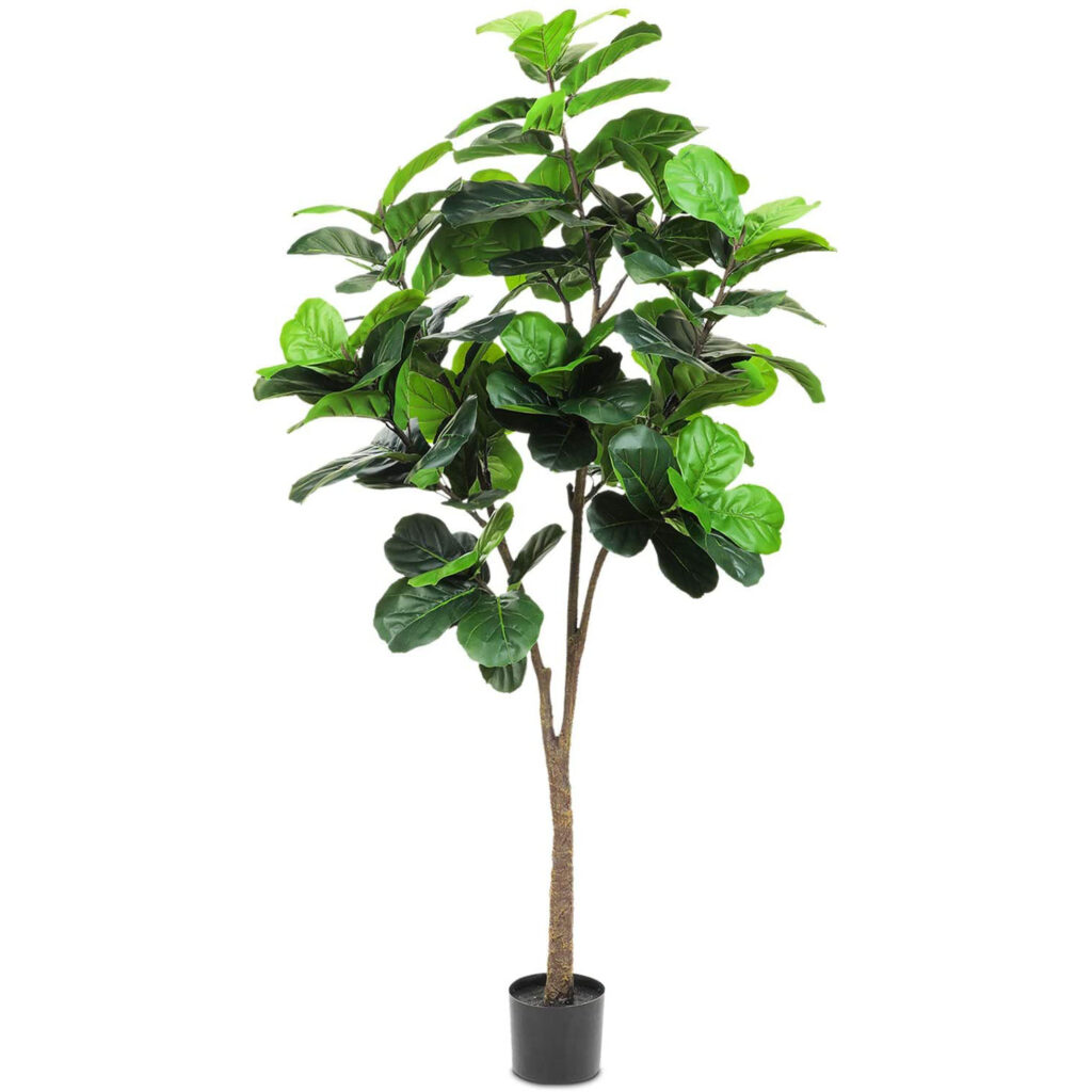 Artificial Fig Tree Plant Elnaz Irby Design